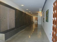 IMG 5356