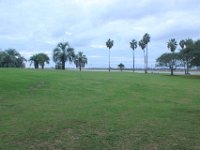 IMG 7431resize