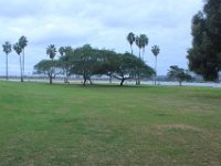 IMG 7432resize