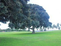IMG 7435resize