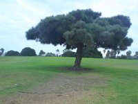 IMG 7445resize
