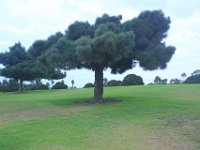 IMG 7446resize