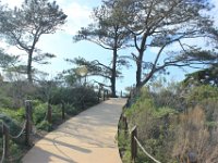 IMG 9499resize