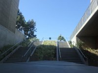 IMG 5208resize