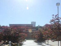 IMG 5243resize