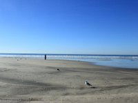 IMG 8966resize