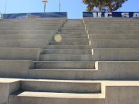 IMG 4956