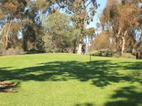 IMG 4979